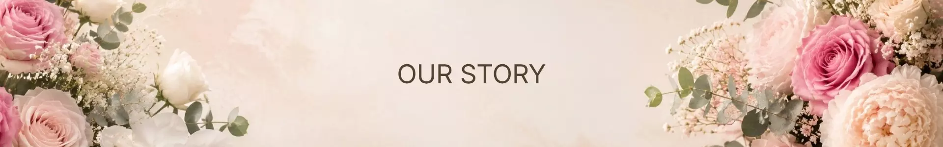Our  Story